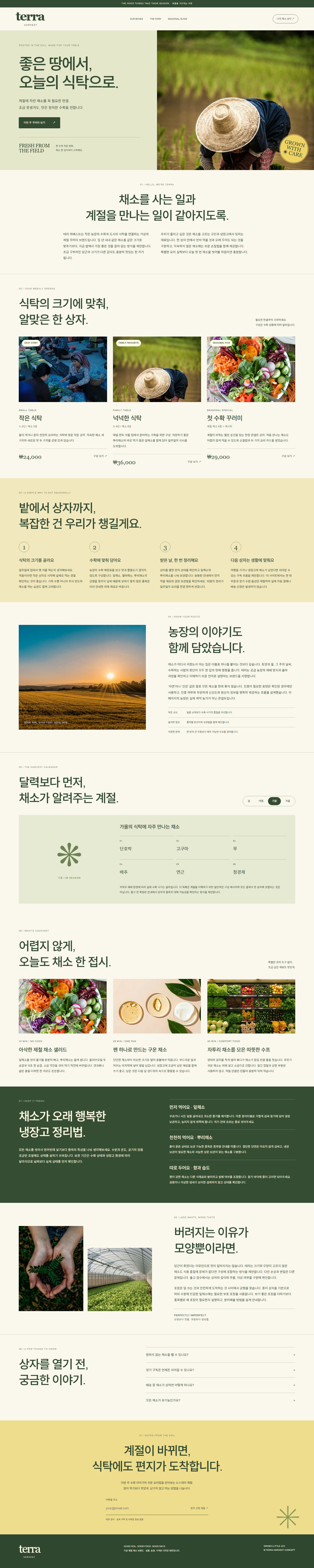 TERRA HARVEST 콘셉트 시안의 메인 페이지 전체 구성