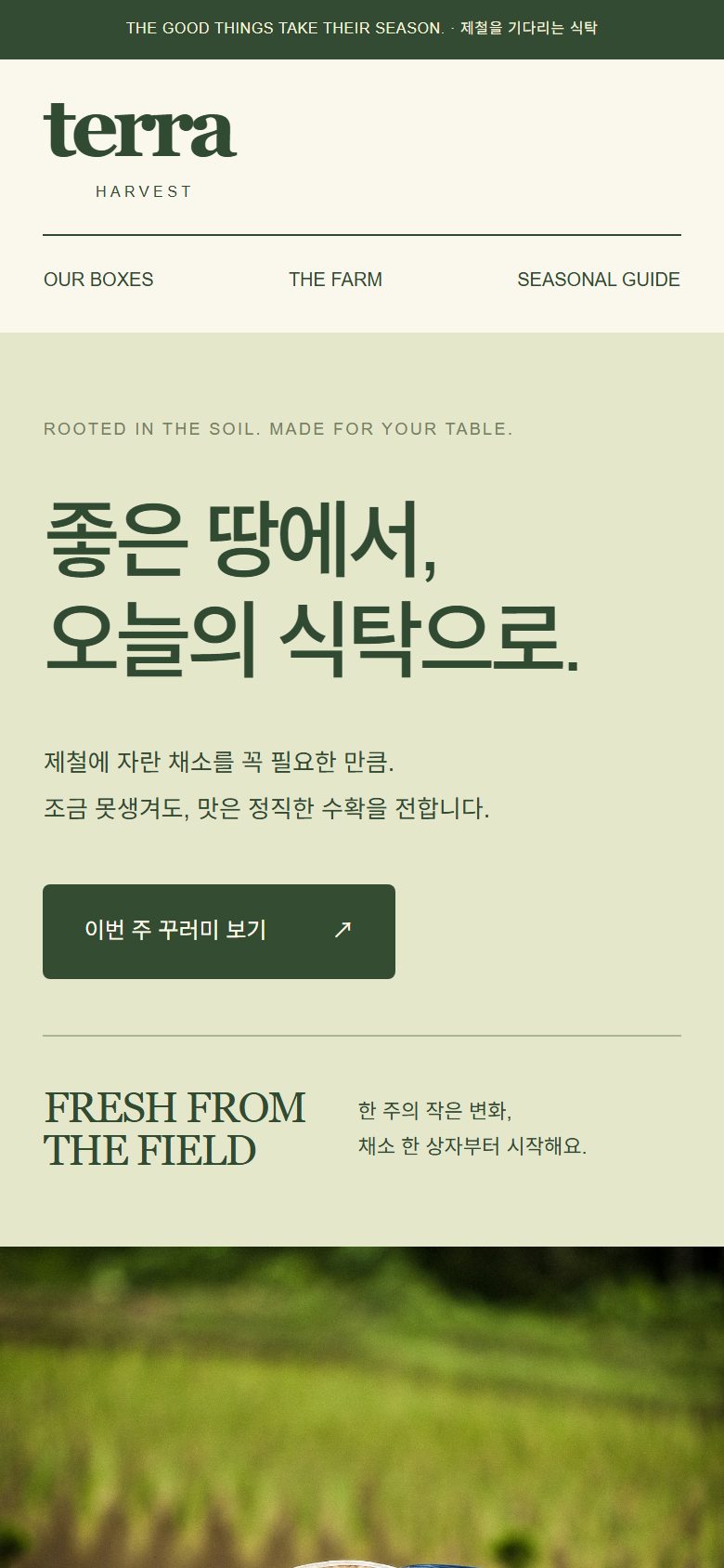 TERRA HARVEST 콘셉트 시안의 모바일 첫 화면